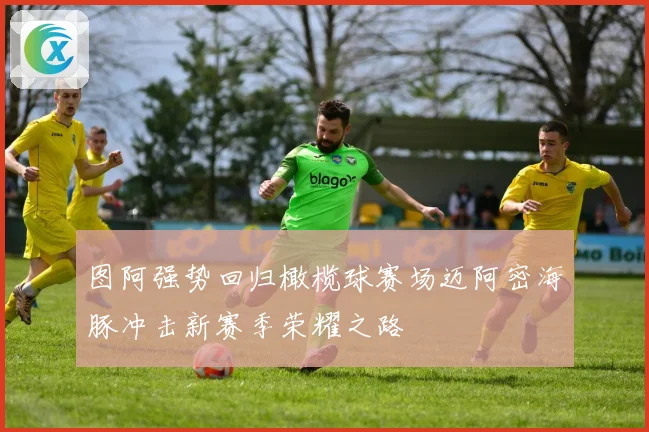 图阿强势回归橄榄球赛场迈阿密海豚冲击新赛季荣耀之路