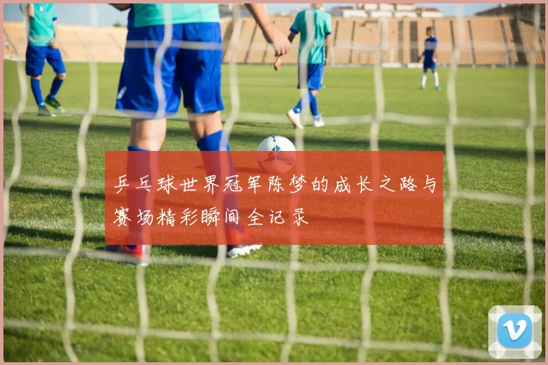 乒乓球世界冠军陈梦的成长之路与赛场精彩瞬间全记录