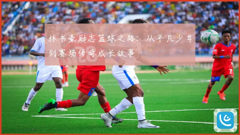 林书豪励志篮球之路：从平凡少年到赛场传奇成长故事