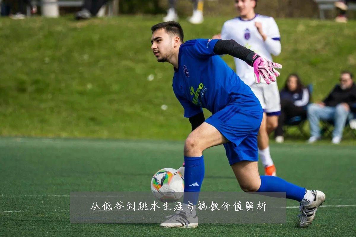 从低谷到跳水生涯与执教价值解析