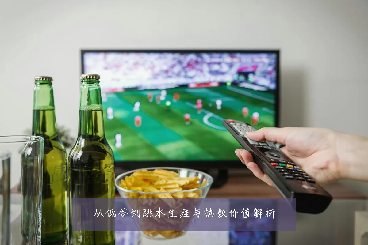 从低谷到跳水生涯与执教价值解析