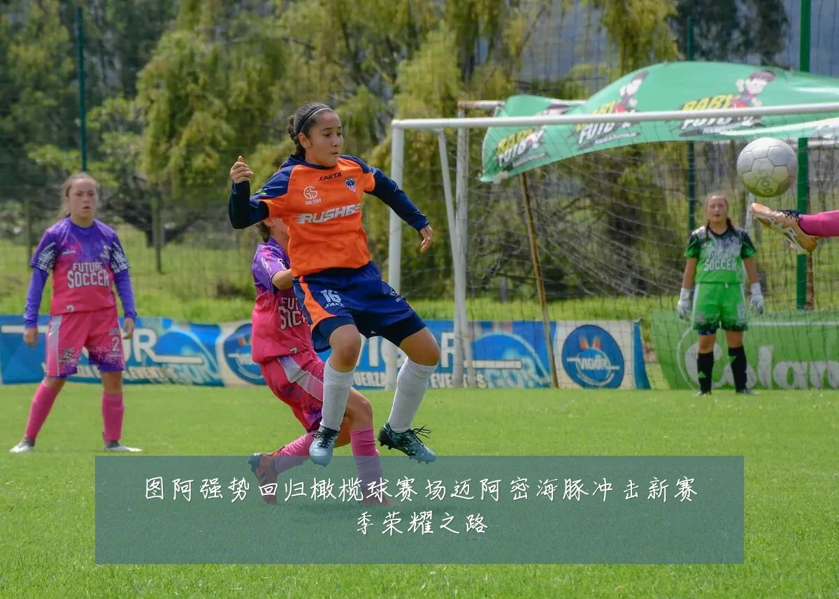 图阿强势回归橄榄球赛场迈阿密海豚冲击新赛季荣耀之路