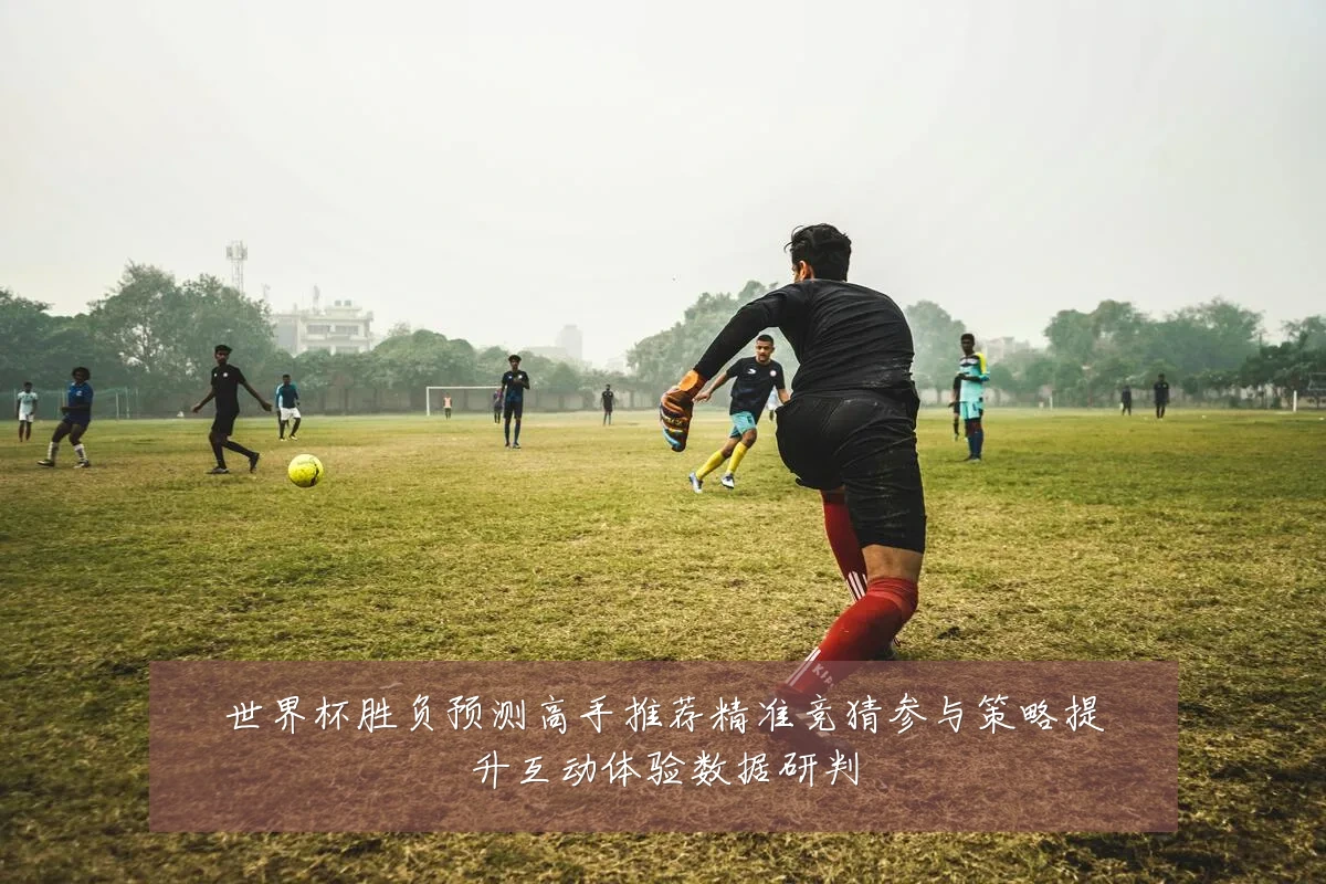 世界杯胜负预测高手推荐精准竞猜参与策略提升互动体验数据研判